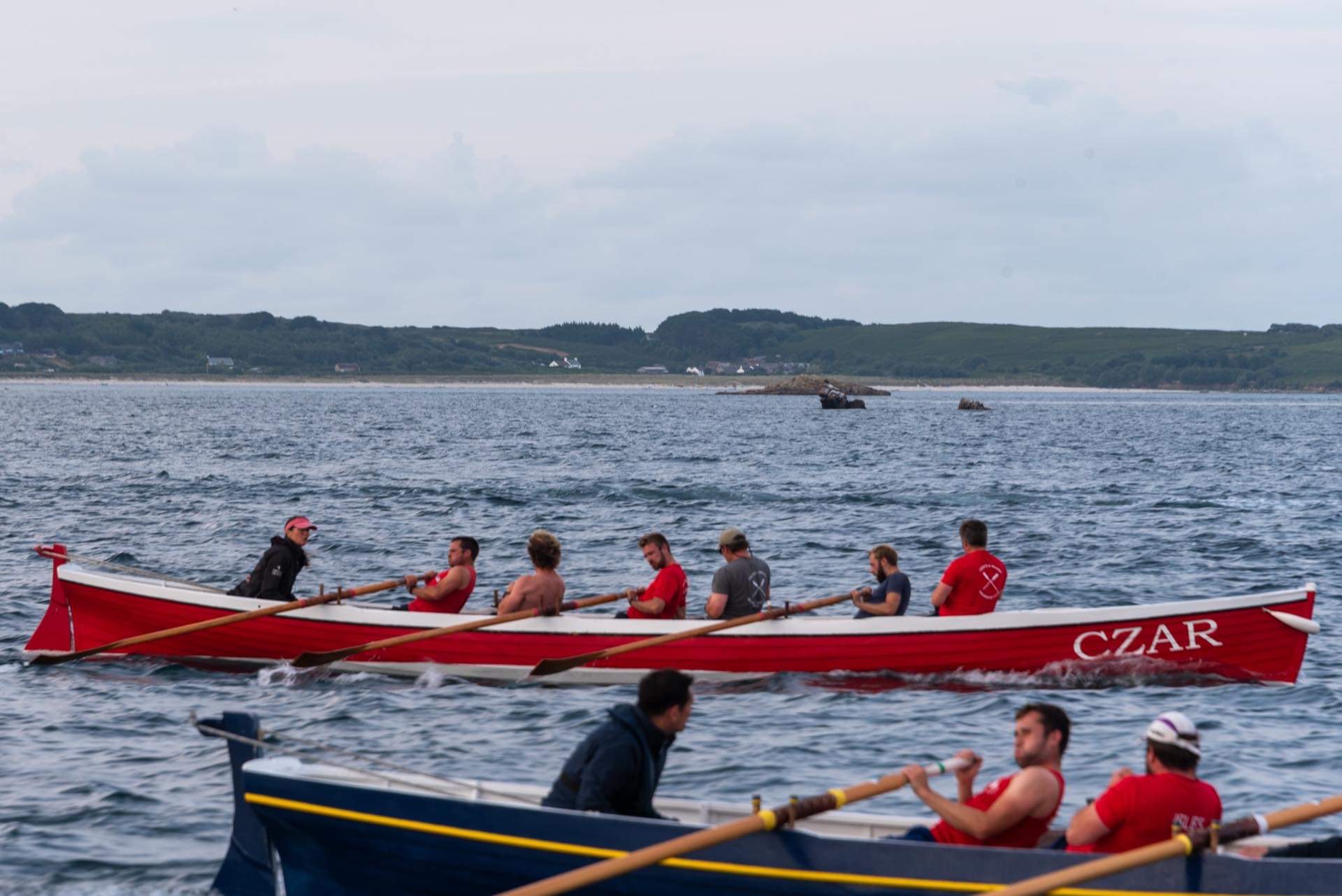 A modern colour photograph of the red and white pilot gig 'Czar' participating in a racing event. The boat is crewed by six rowers in red shirts, with a coxswain at the stern, and other racing gigs visible in the foreground against a backdrop of the open sea and a distant coastline.