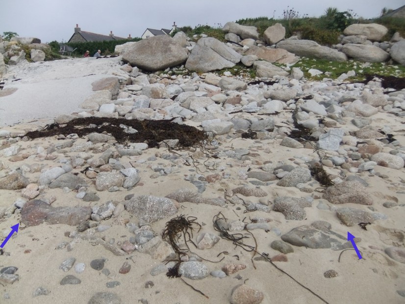 A boulder-strewn beach with patches of sand and seaweed, leading up to a modern slipway made of concrete and stone. Blue arrows highlight the remains of a much older slipway