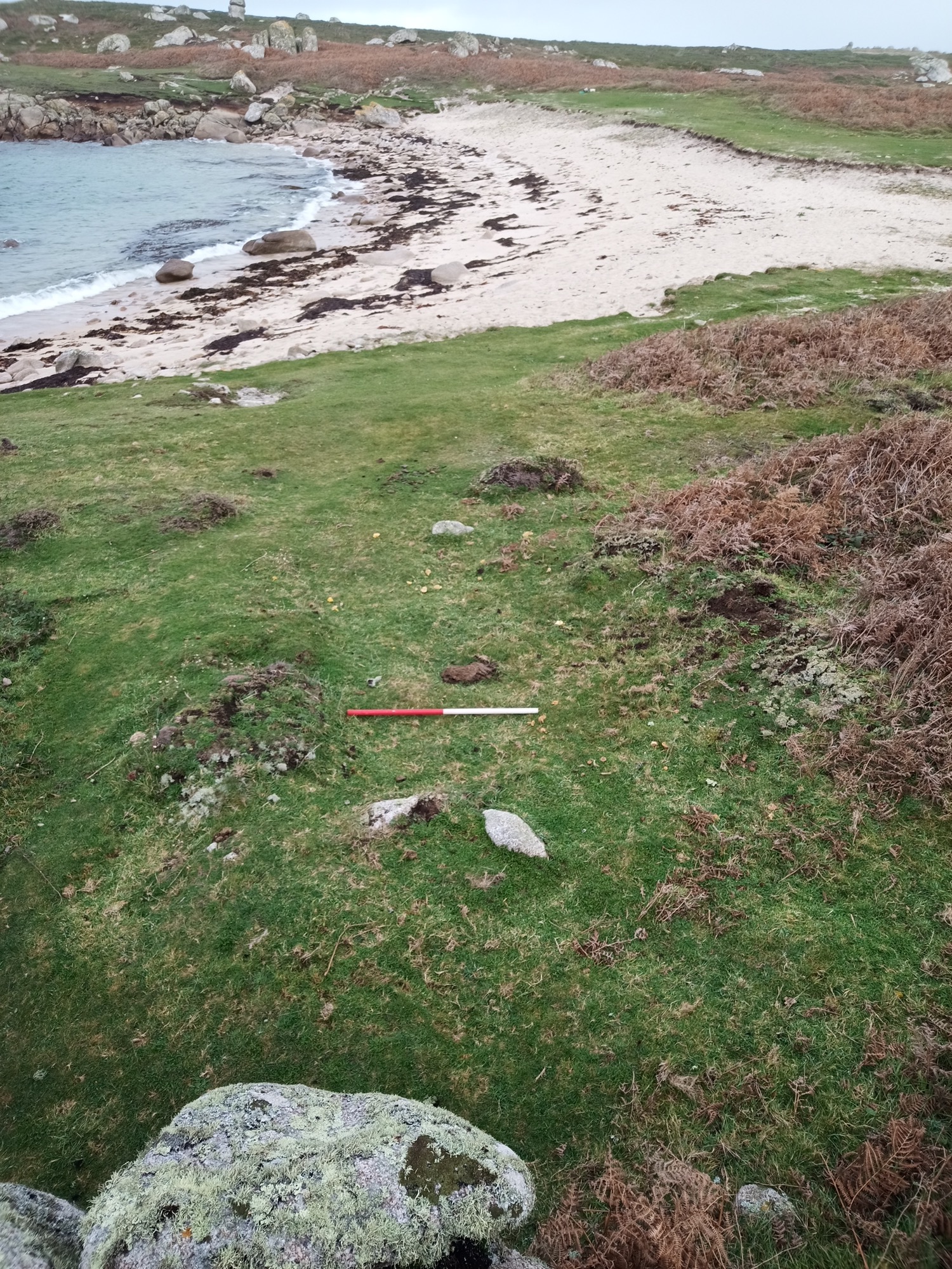 A sandy beach with a grassy foreground, where a red-and-white survey pole lies on the ground. Low grassy mounds marking the location of the shed walls are faintly visible. The shoreline curves gently, with scattered boulders and seaweed, leading to rocky terrain and low hills in the background.