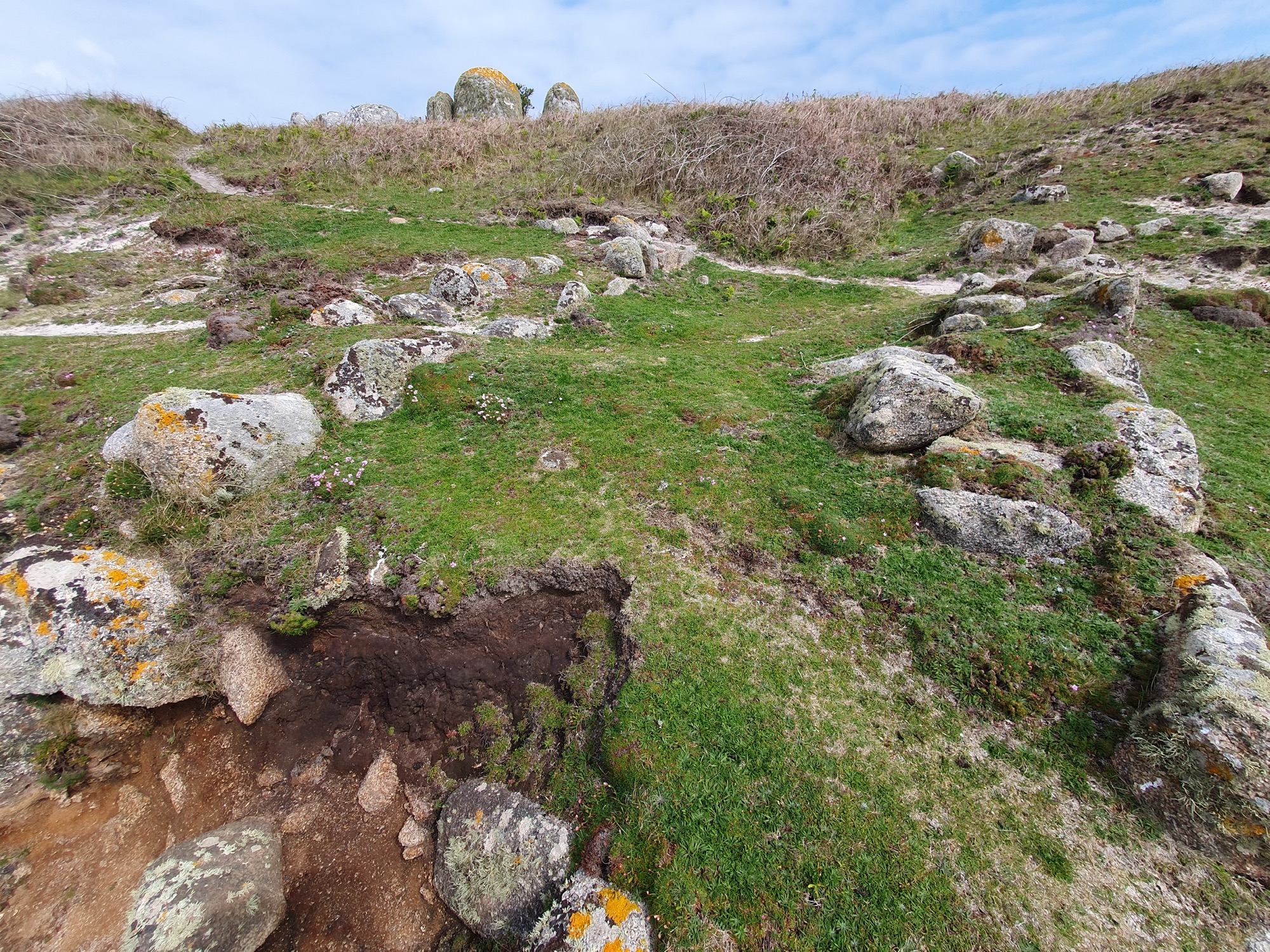 A grassy hillside with scattered granite boulders and a partially eroded section of soil in the foreground. The landscape slopes upward, with a faint footpath leading to a ridge lined with more boulders under a partly cloudy sky.