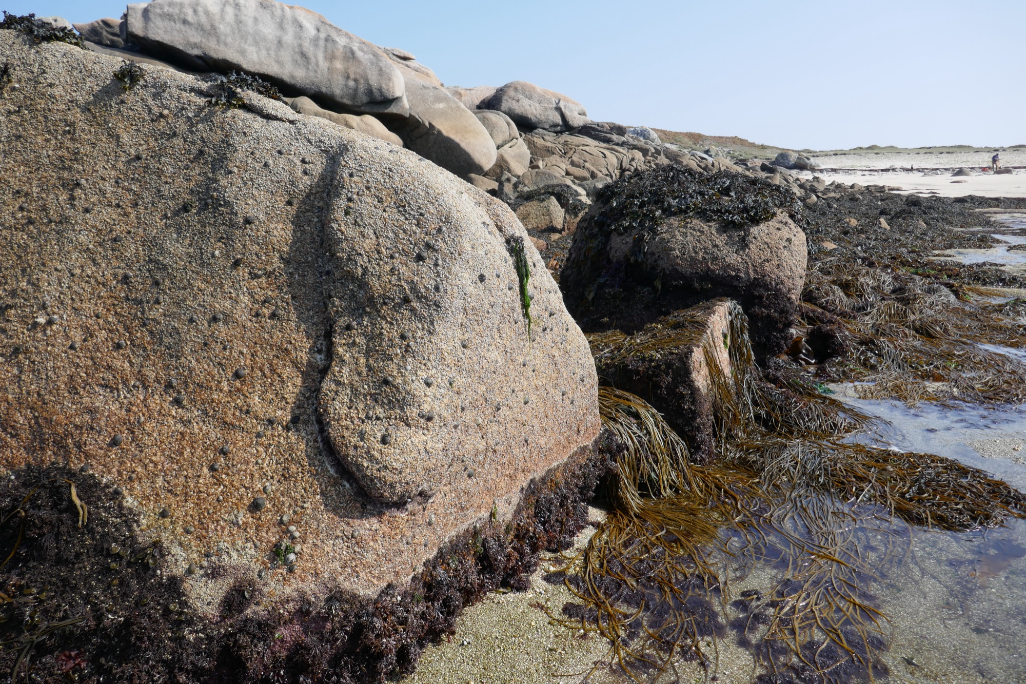 A large granite boulder in the foreground with a weathered surface, partially covered in barnacles and seaweed. Behind it, a line of stacked boulders forms a natural barrier, leading towards a sandy beach in the background.
