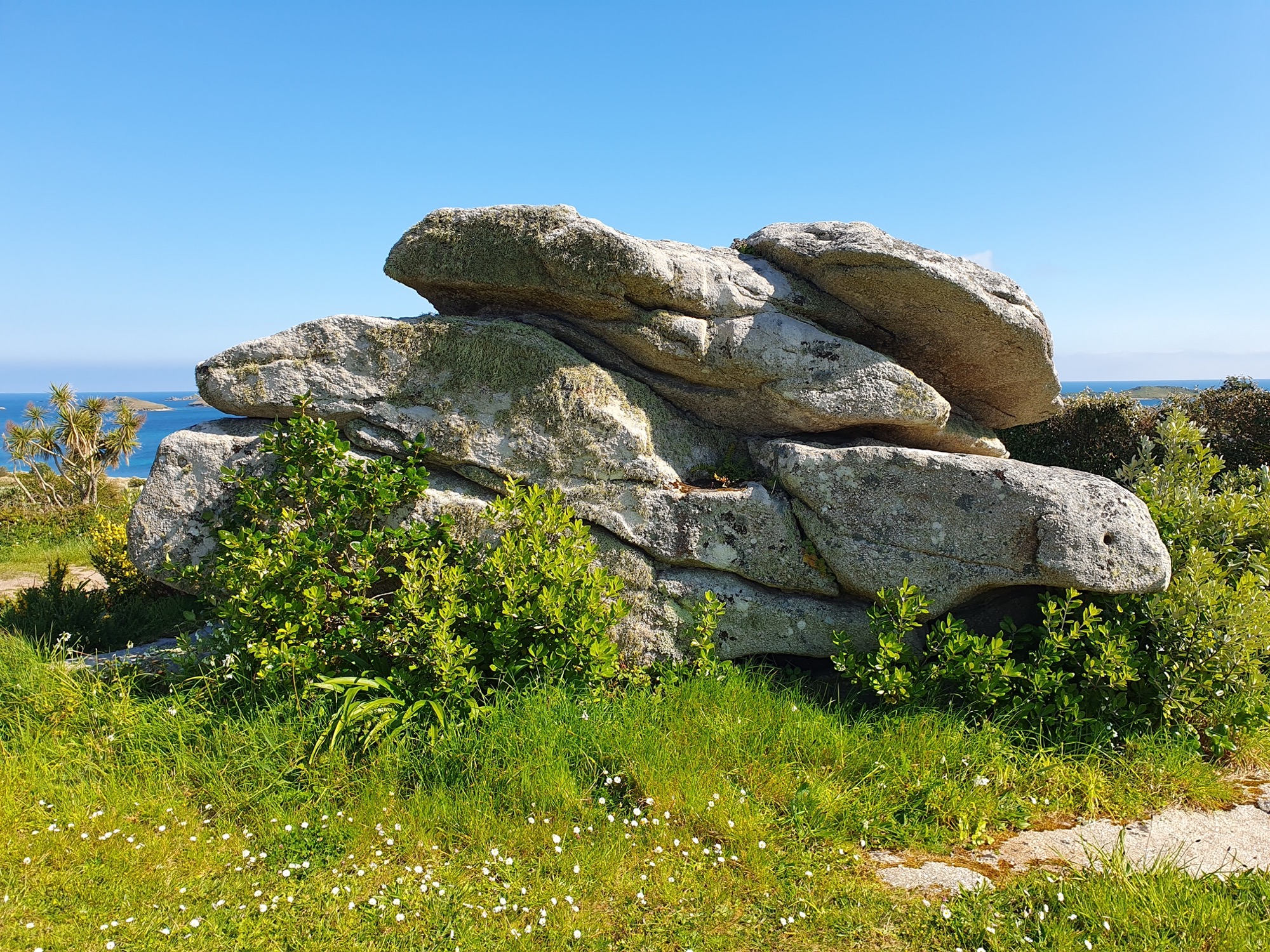 A large weathered granite outcrop known as Signal Rock, surrounded by lush green vegetation with small white flowers. The clear blue sky and distant sea create a scenic backdrop on St Martin’s, Isles of Scilly.