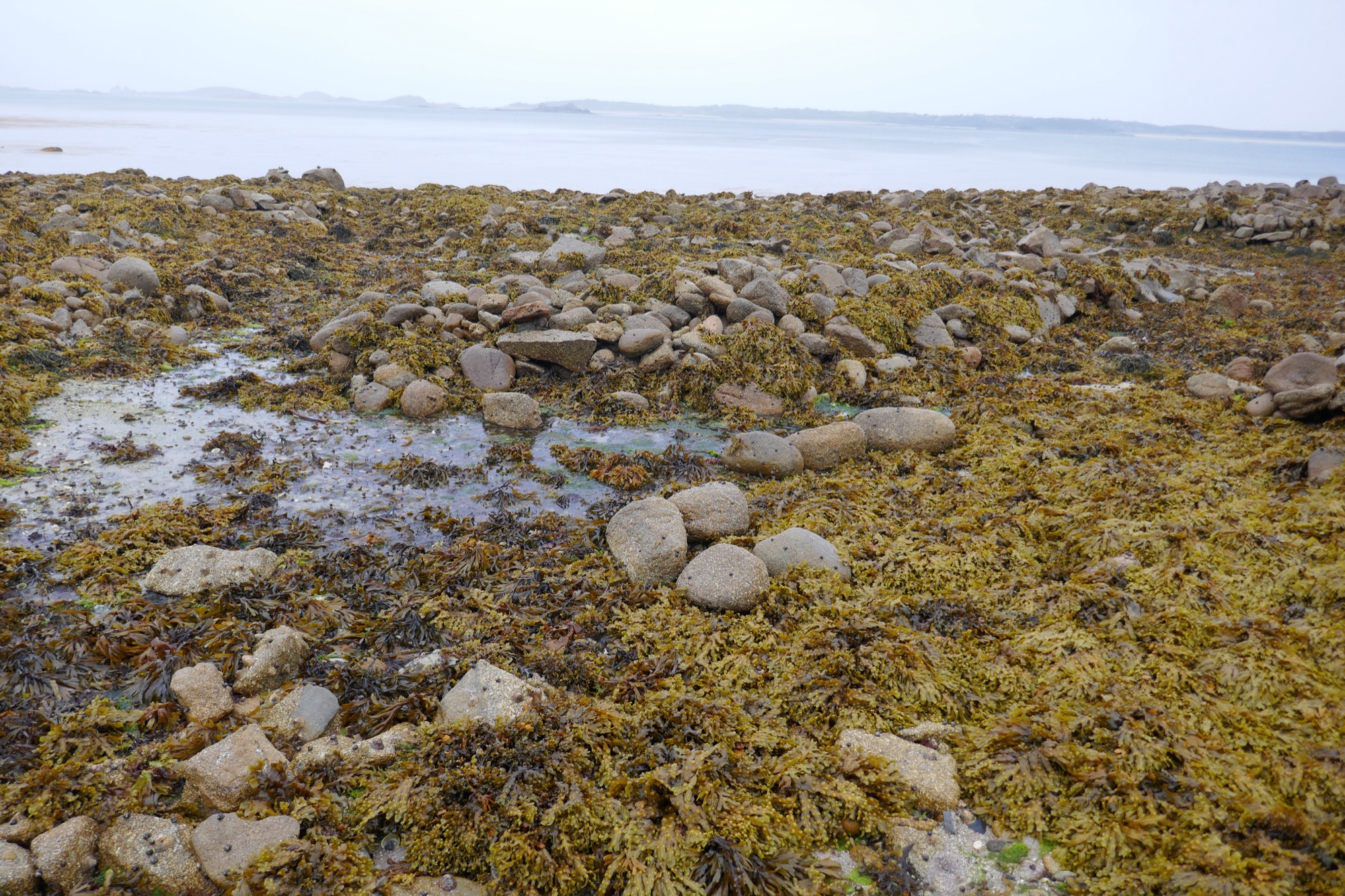 A faint gap through the rocky shoreline covered in seaweed and tide pools stretches towards the calm sea, with distant islands visible on the horizon under an overcast sky.