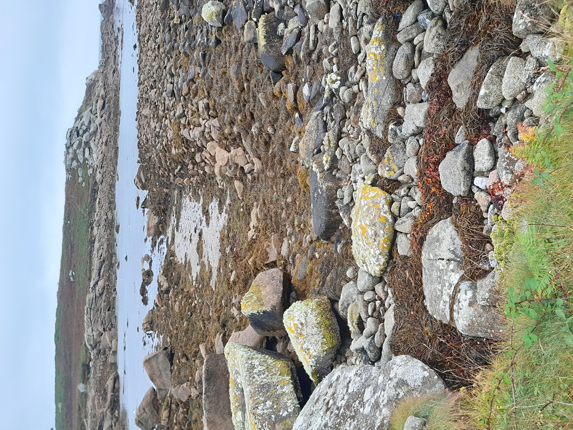 A rough gap through a tidal causeway of seaweed-covered stones and sand leads towards a calm, shallow bay, with a rocky coastline and grassy hillside in the background.