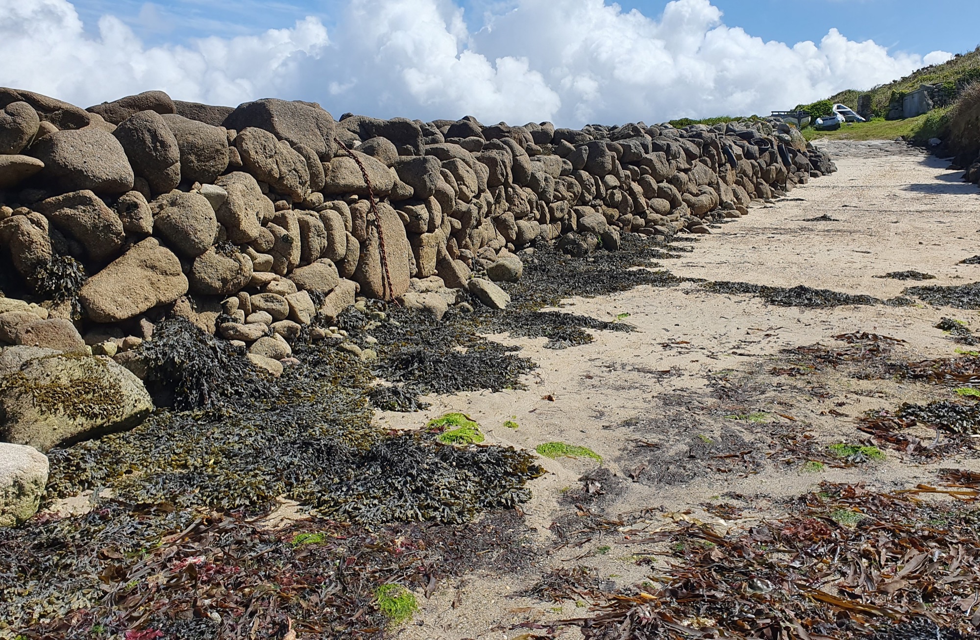 A long dry-stone revetment made of rounded boulders, running alongside the sandy channel at low tide covered in seaweed. A rusty chain hangs from the wall, and in the background above the sloping slipway, there are the gig sheds.