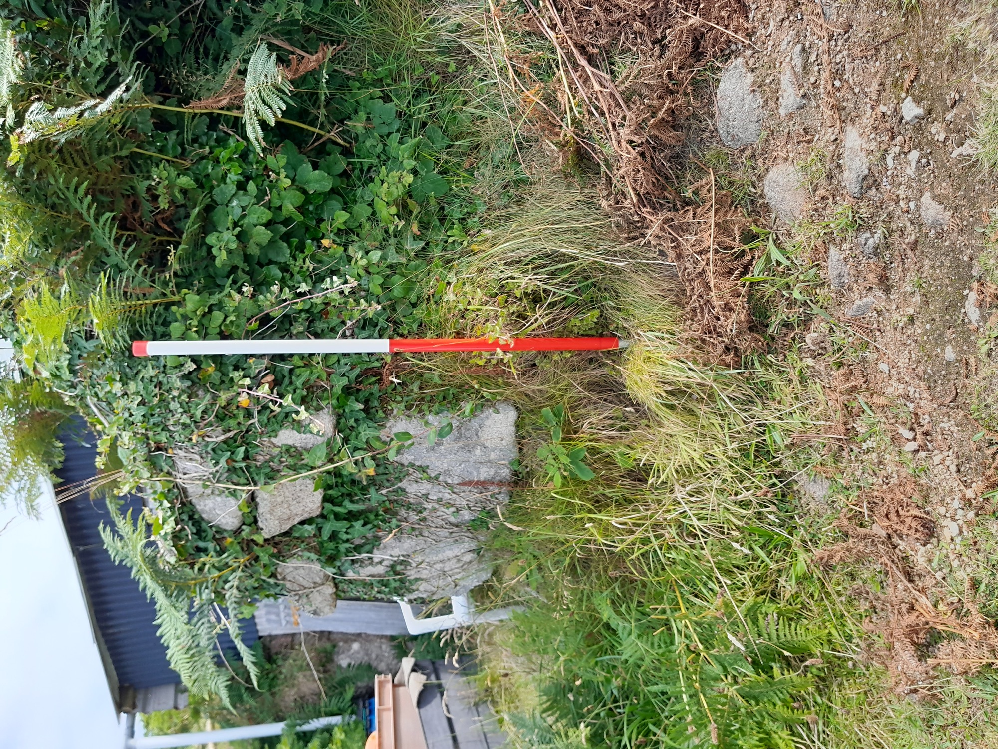 A red-and-white survey pole stands in front of a granite dry-stone wall covered in thick green vegetation, with a shed visible in the background. The ground is grassy with some dried bracken and stones once part of the paving.