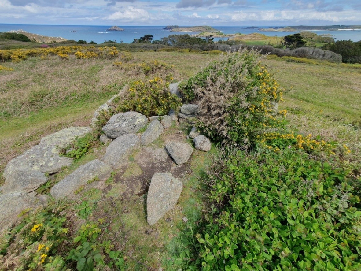 The remains of the granite lookout structure topped with flowering gorse.