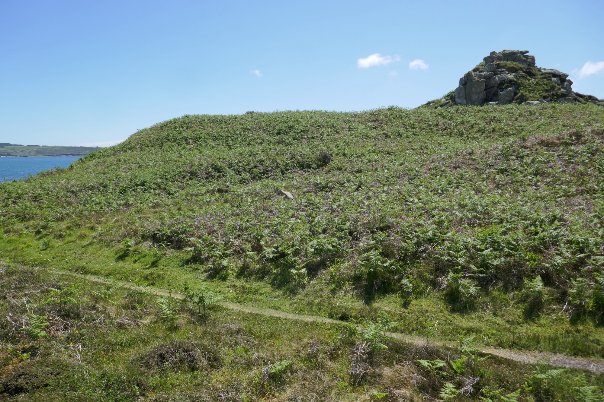 A fern-covered hillside with a granite outcrop called a 'carn' at the summit. A path runs across the scene towards the bottom of the photo. The coastline and sea are visible towards the top left.
