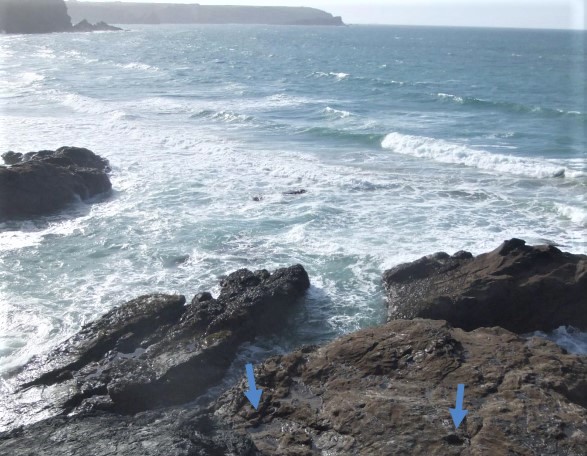 The tidal ledge in the foreground, exposed at low water, contains features now forming small deep rockpools, marked on this photo by blue arrows. Their sub-square plans and alignments indicate these were made to hold uprights supporting a superstructure now gone.