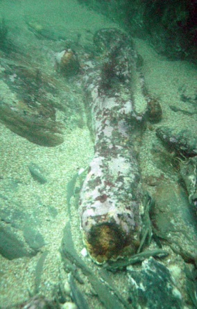 The cannon lies on sand and low slabs of reef on the seabed. It is angled like the one in Figure 16, with its muzzle facing us and its swivel at the far end. Unlike that other gun it seems at first almost organic, with low clumps of green seaweed and white encrustations.