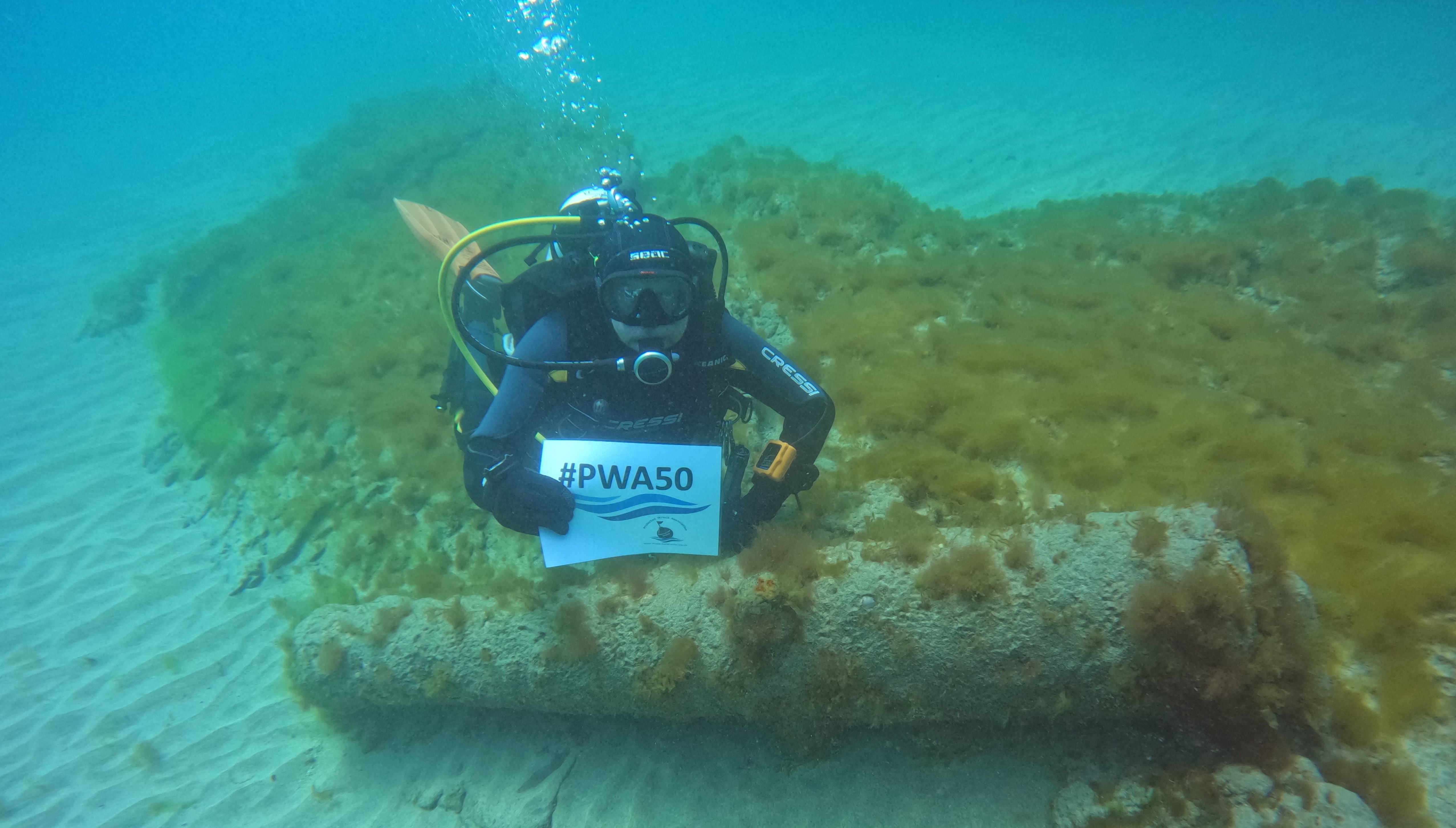 Scuba diver underwater, at a cannon lying in sand and seaweed at the Schiedam shipwreck site, in a greeny half-light. The diver holds a notice to the camera, reading "#PWA50" - Protection of Wrecks Act 50 - with a stream of air bubbles floating upwards.