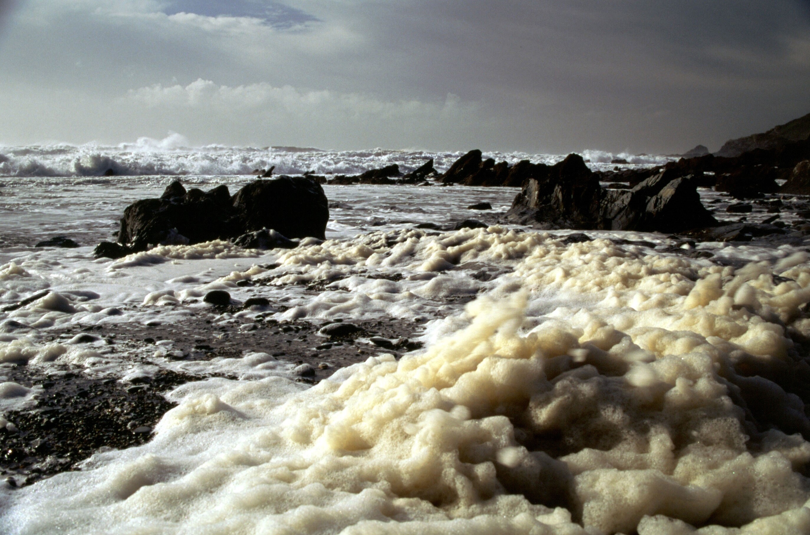 Despite the low tide, Jangye-ryn beach in the foreground is hidden, covered by masses of creamy foam piled in by the wind. On the Schiedam wreck site beyond, sharp black rocks rise from the white surf.